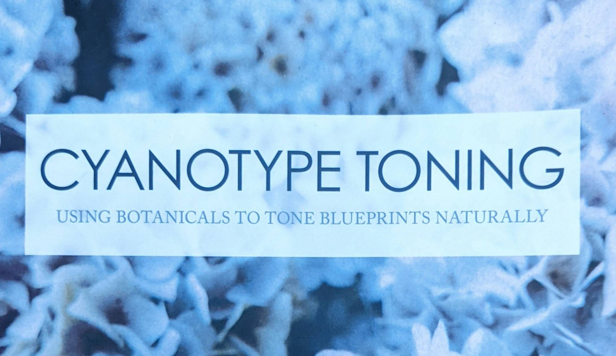 You are currently viewing Cyanotype toning