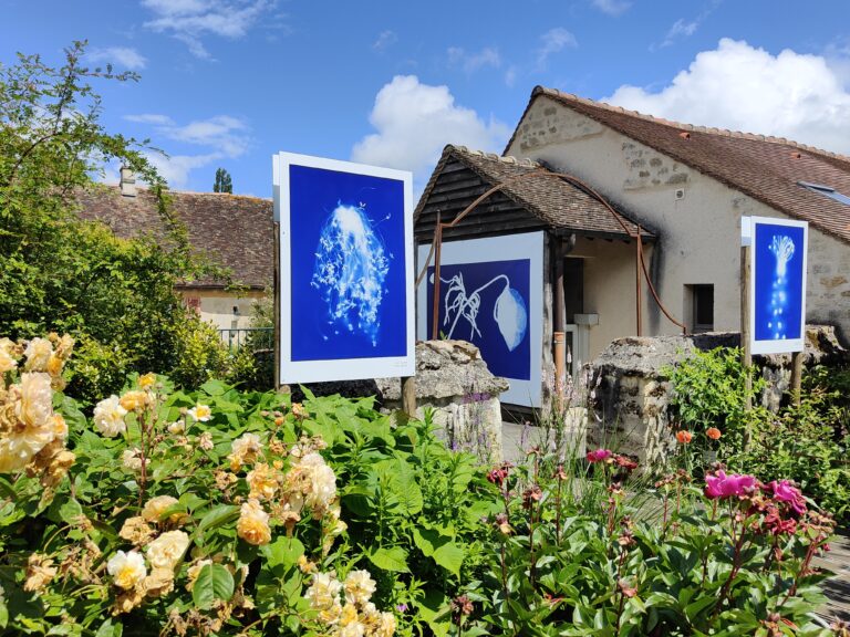 Lire la suite à propos de l’article L’Herbier Bleu, poésies végétales au jardin